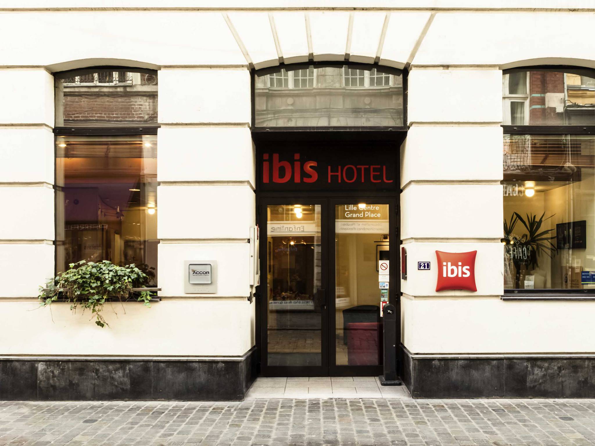 Lille-Ibis