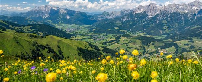Austria Awaits: Music, Mountains & Memorable Group Experiences 1