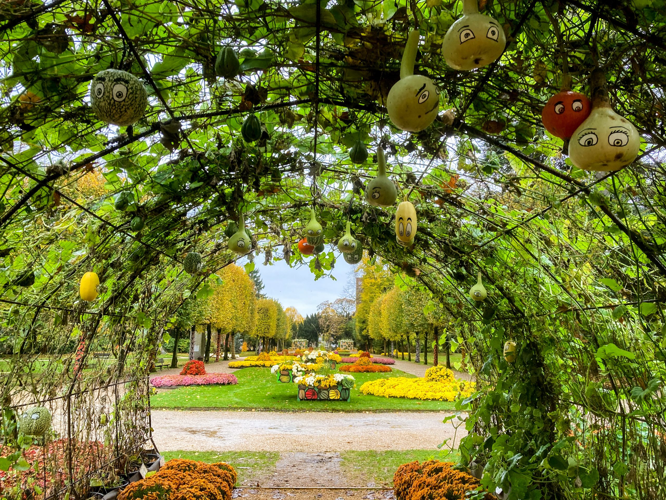 Rouen Botanical Garden, Jardin des Plantes, Normandy, France Tree-covered garden archway in Jardin des Plantes, Rouen, decorated with hanging gourds and opening onto colourful flower beds.