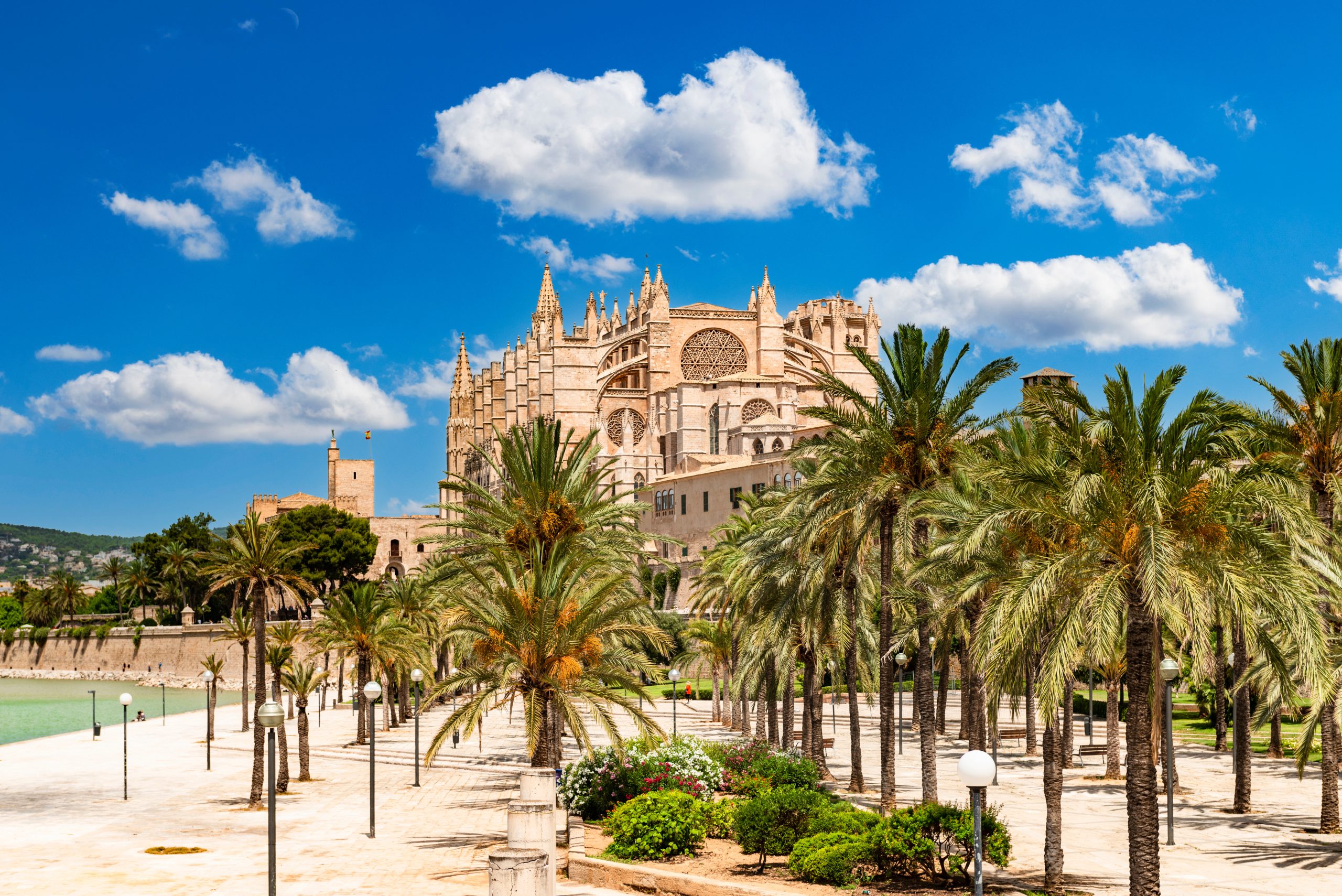 Palma de Mallorca – Parc de la Mar with La Seu Cathedral and Almudaina Palace in the background – 4043 Palma de Mallorca cathedral viewed from a palm-lined promenade, with clear blue skies and Mediterranean scenery.