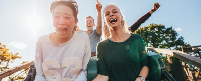 Stay, Play, Repeat: Theme Park Hotels for Large Groups 1